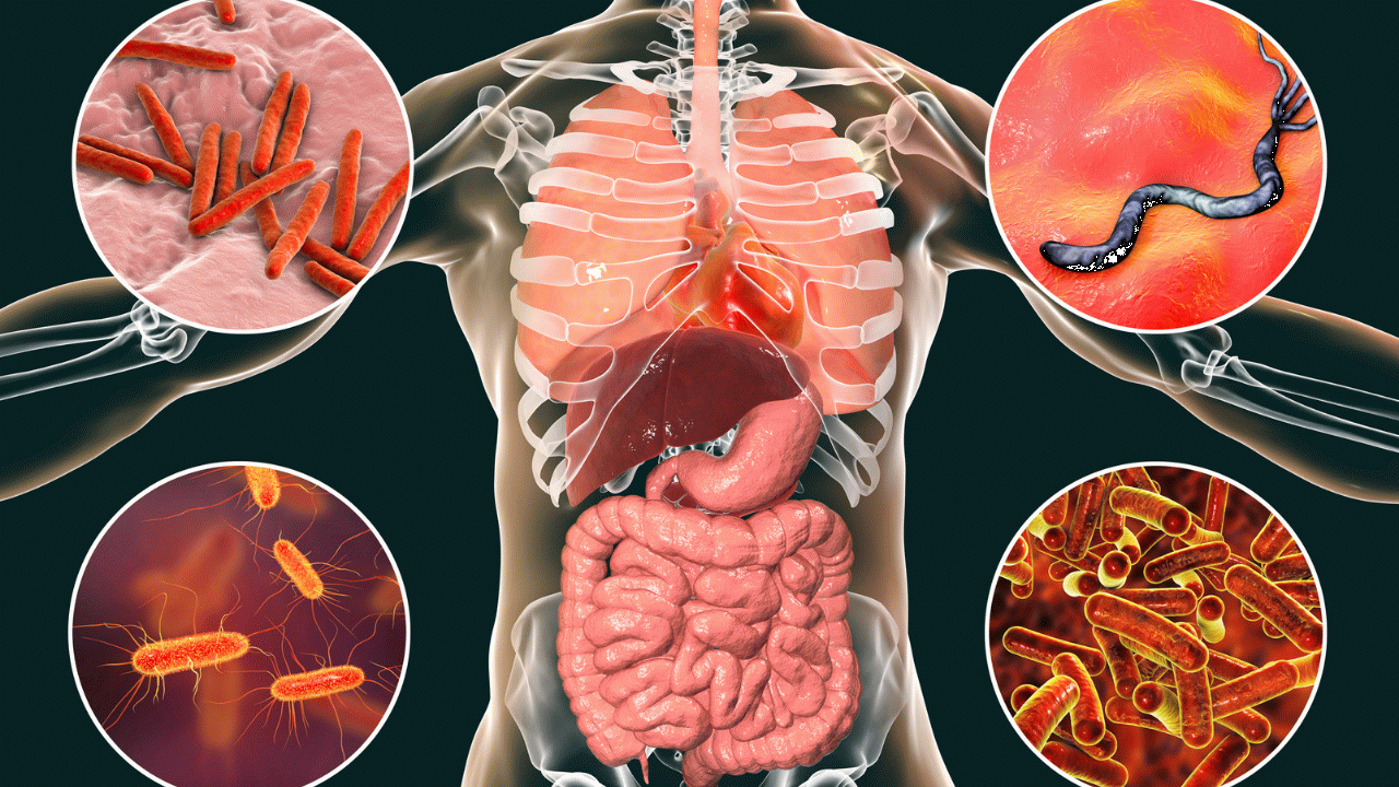 E-coli Bakterisi Hakkında Bilmeniz Gerekenler